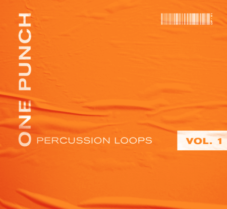 shanks. x Ty Leon One Punch Percussion Loops Vol.1 WAV